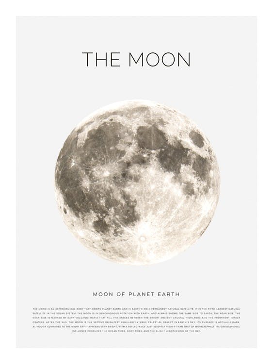 The Moon Plakat 0