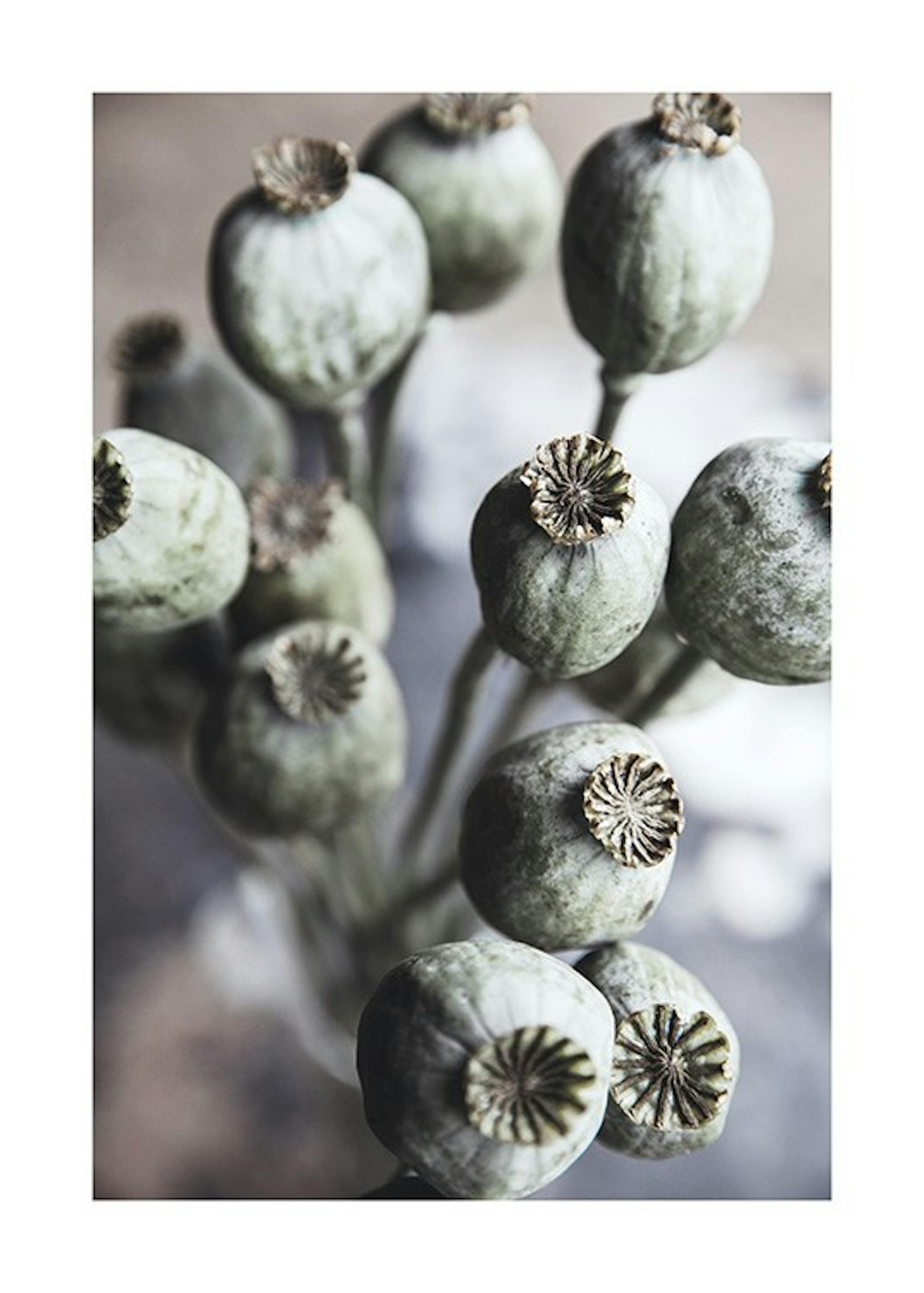 Product image: 1