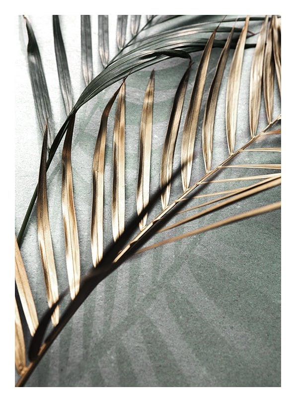 Gold and Green Palm Leaves Plakat (21x30 cm)- Fotografia