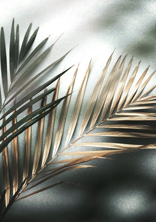 Golden Palm Plakat 0