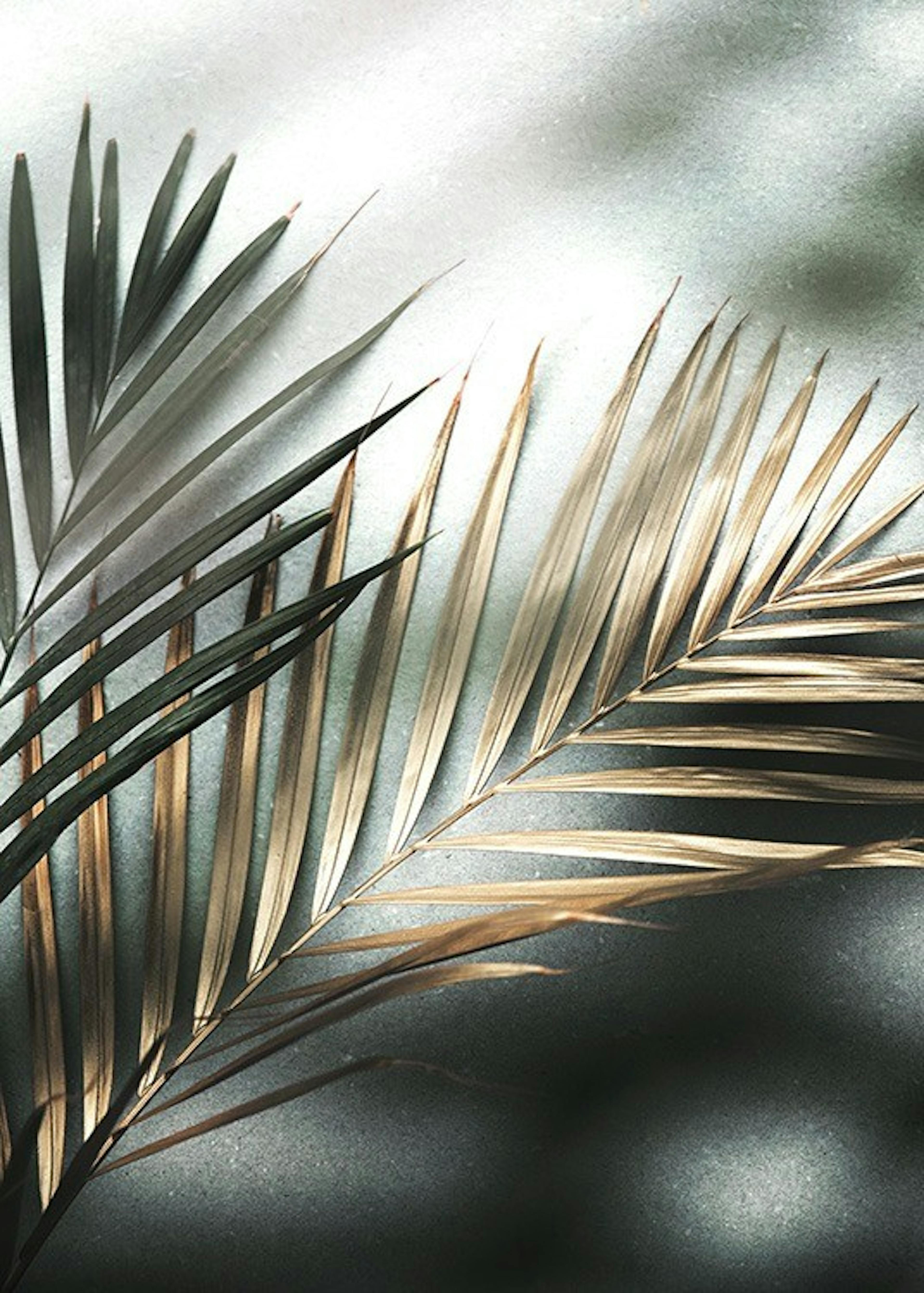Golden Palm Poster 0