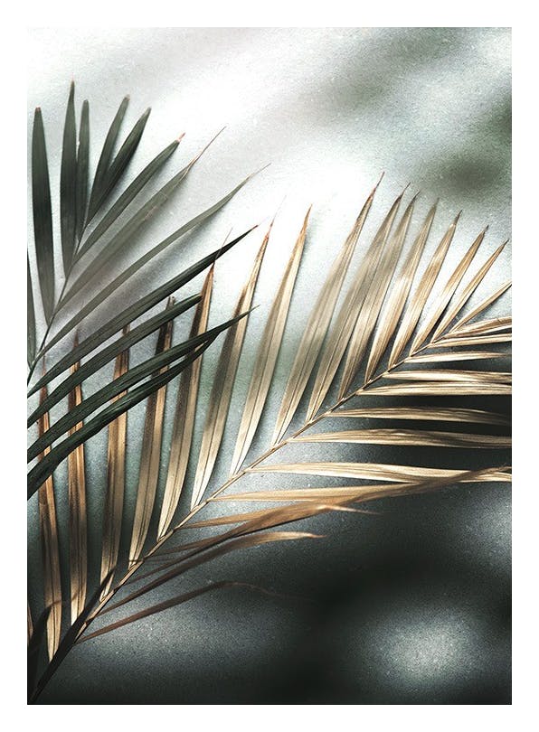 Golden Palm (50x70) (50x70 cm)