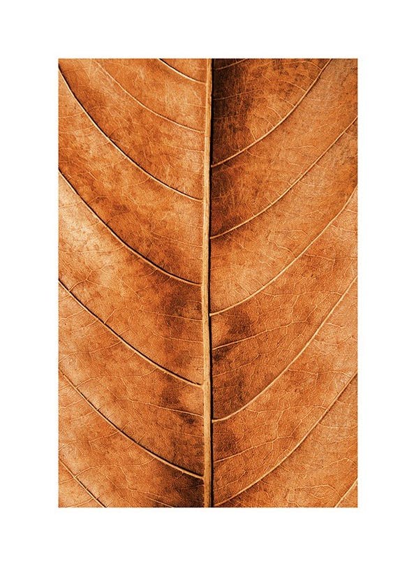 Prints - Autumn Leaf Print (30x40 cm) - Nature prints