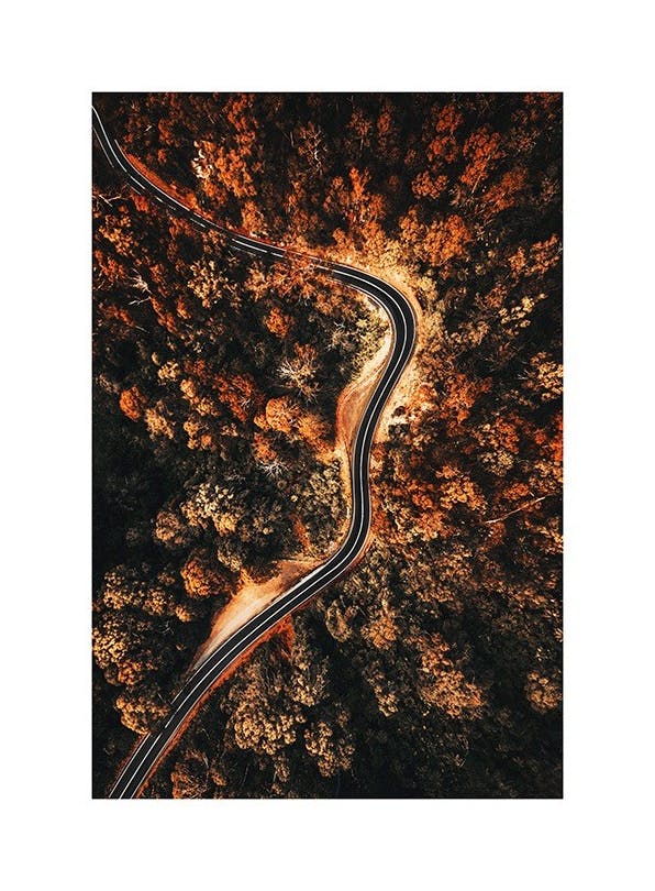 Autumn Aerial View Plakat (50x70 cm)- Zdjęcia natury