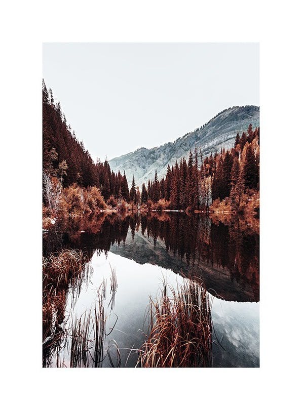 Autumn Lake Poster (21x30 cm) - Natuur posters