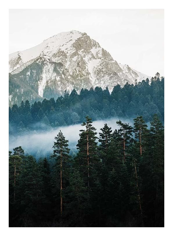 Mountain and Forest Poster (50x70 cm) - Natuur posters
