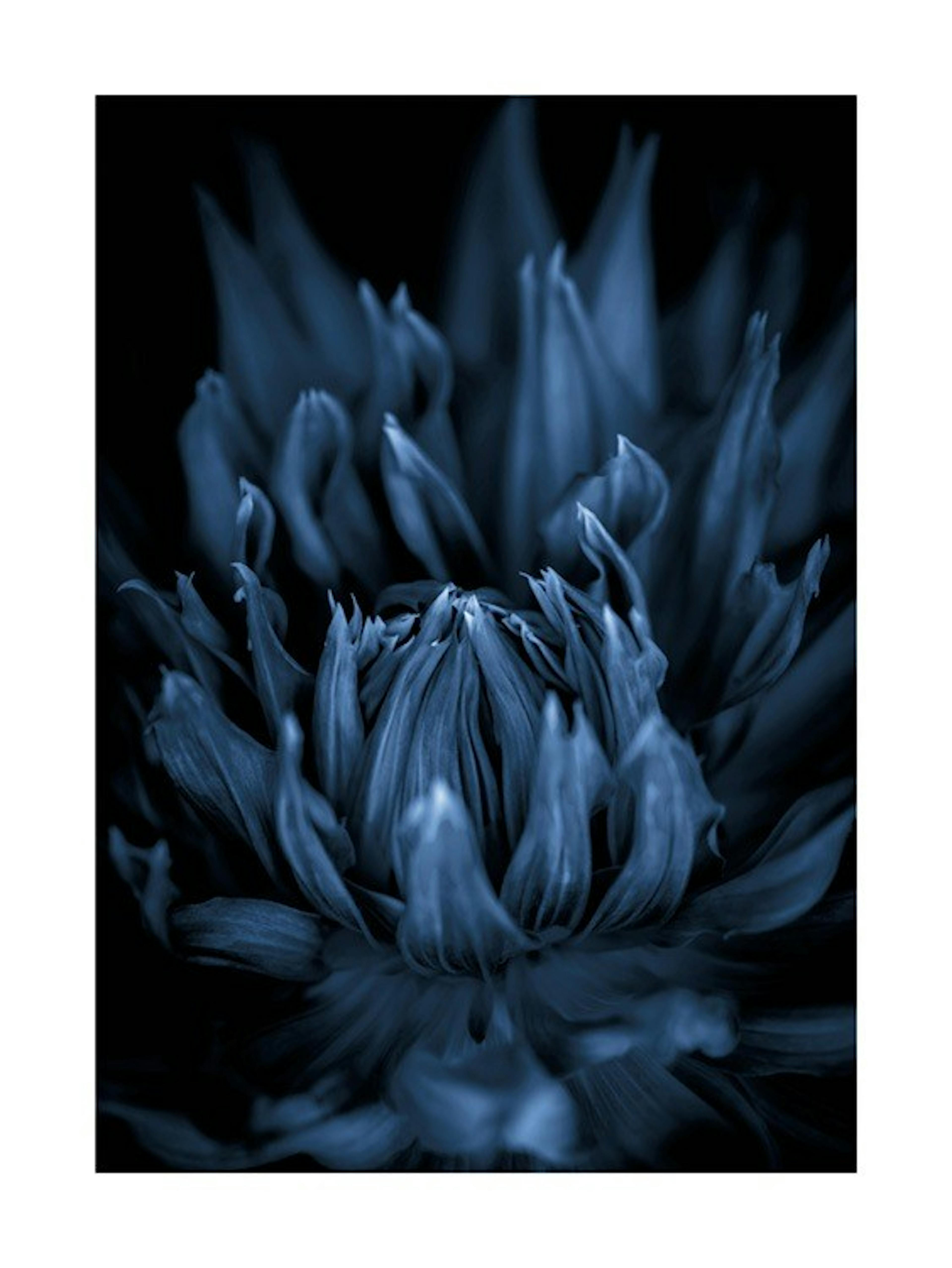 Blue Dahlia Affiche 0