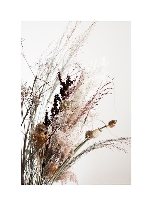 Dried Bouquet No2 Plakat (40x50 cm) - Plakater > Kunstplakater > Fotokunst