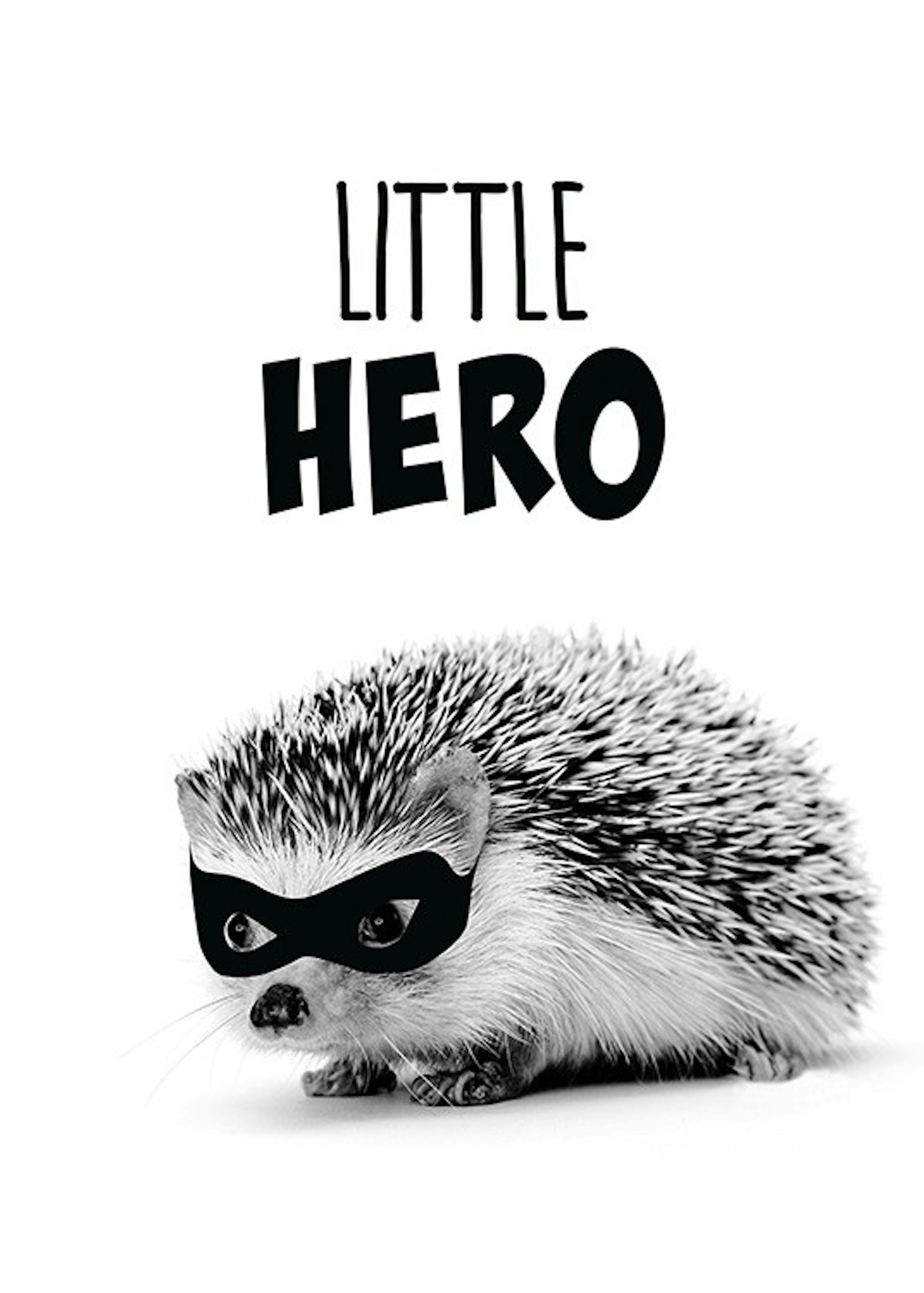 Little Hero Affiche 0
