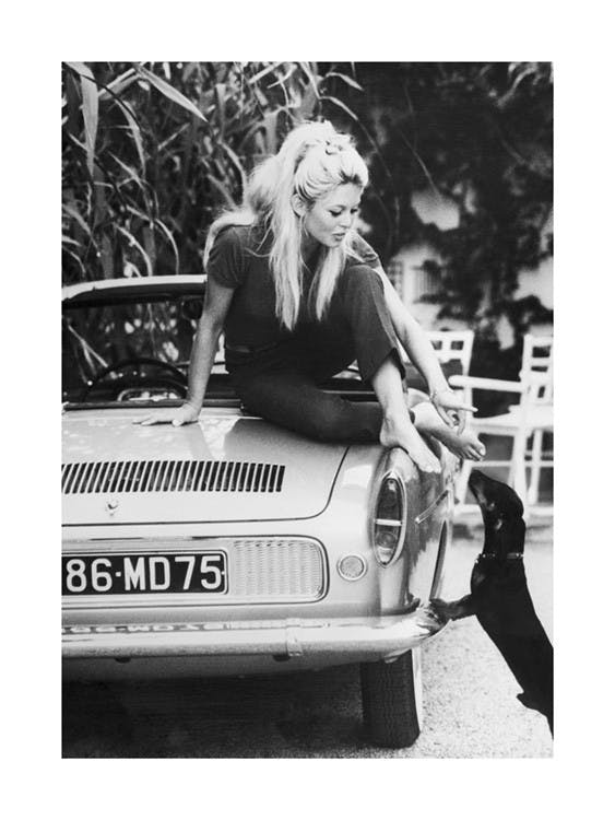 Brigitte Bardot Poster 0