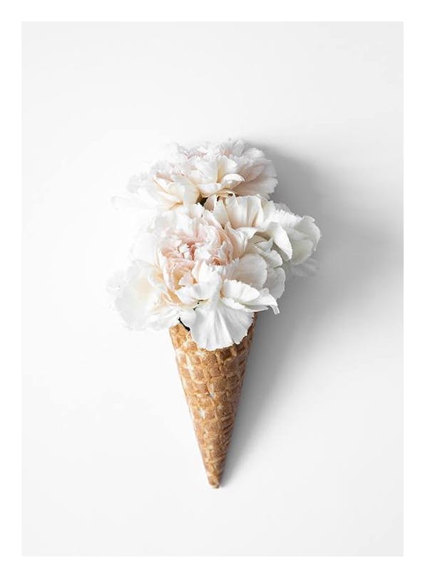 Flower Cone Poster (30x40 cm)