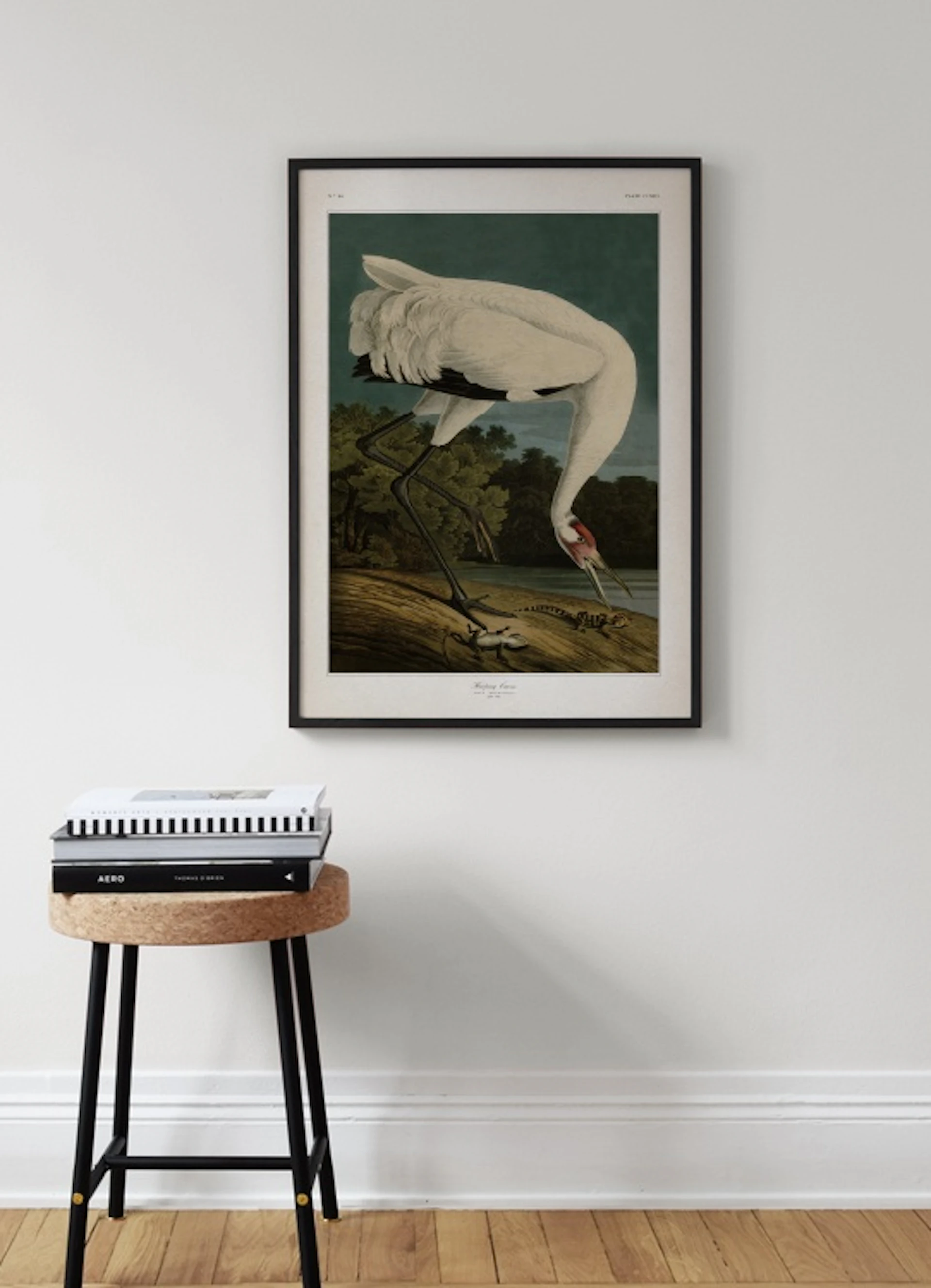 Whooping Crane Juliste