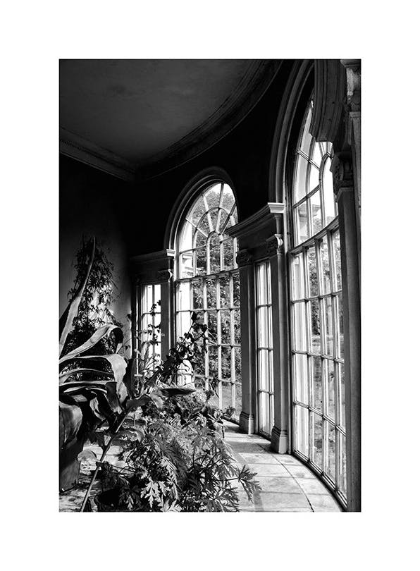Garden of Light Plakat (50x70 cm)- Czarno-białe plakaty