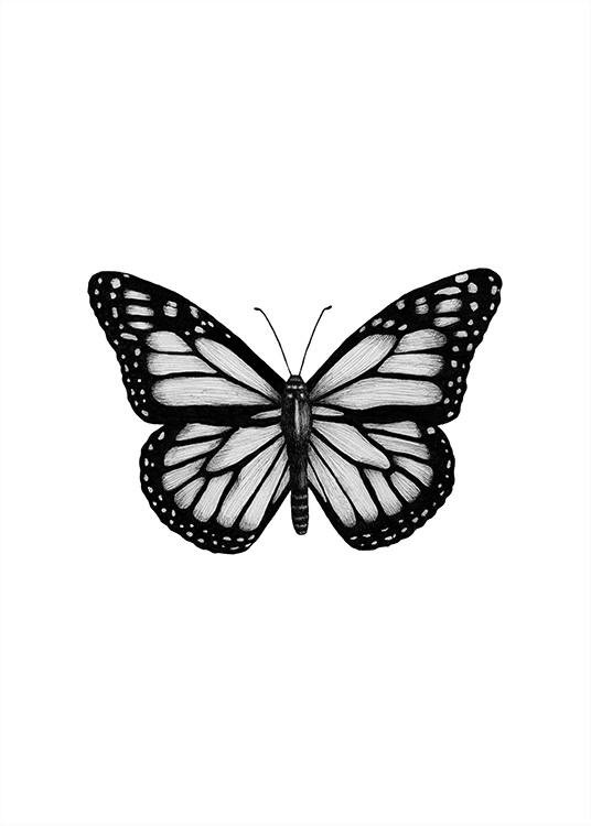 Butterfly Sketch PNG Transparent Images Free Download | Vector Files |  Pngtree-vinhomehanoi.com.vn