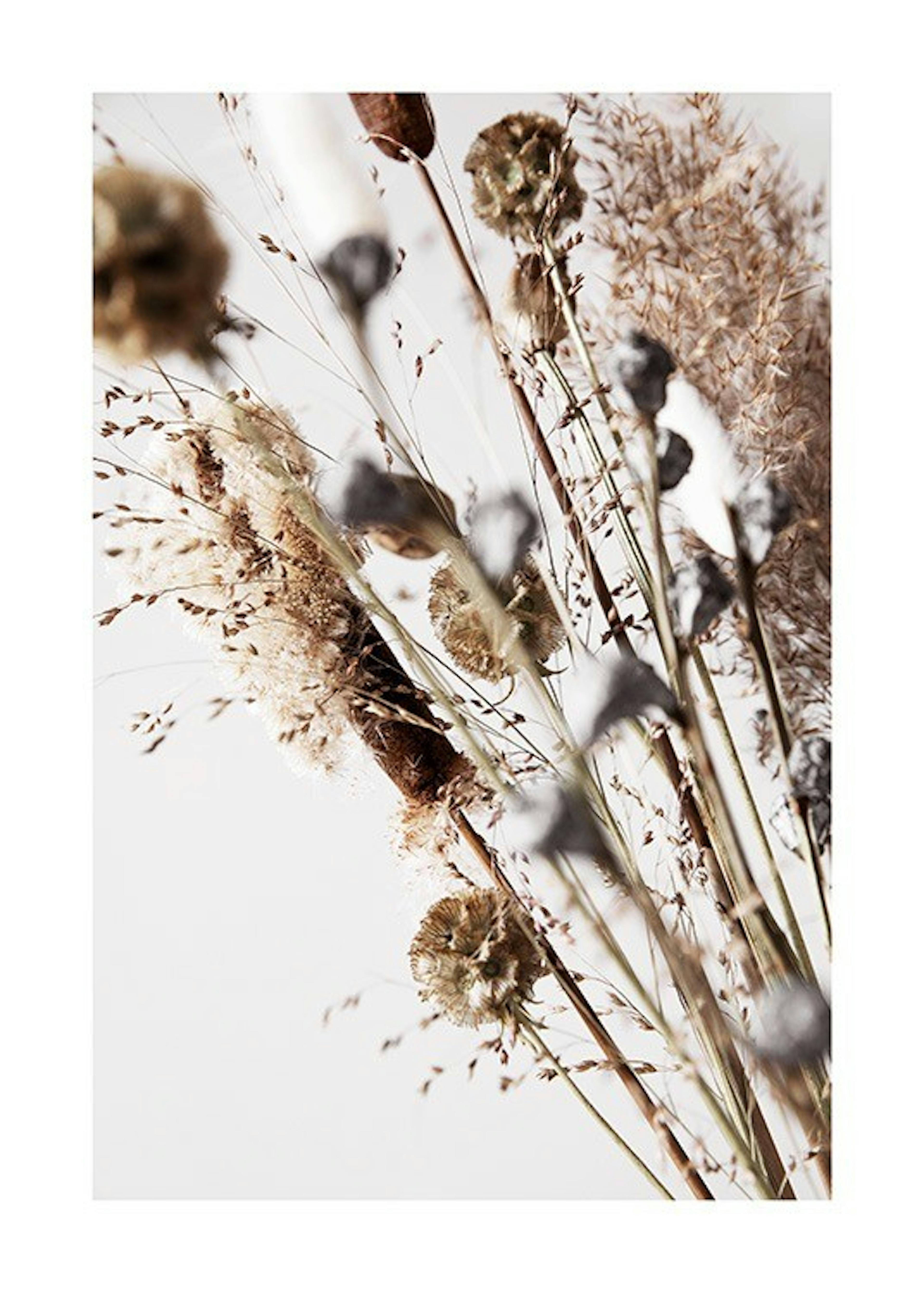 Dry Reeds No2 Poster