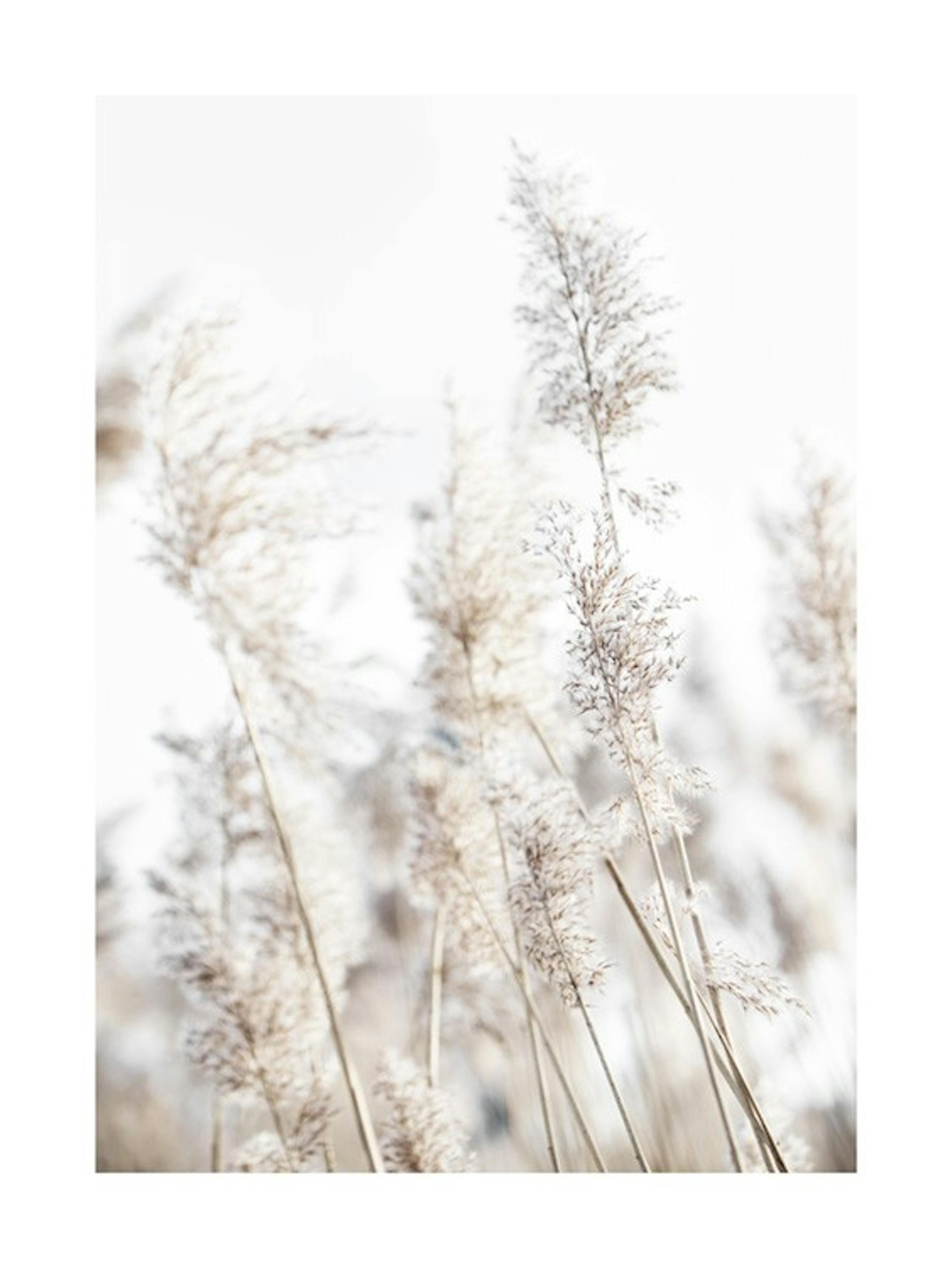 In the Reeds No2 Print 0