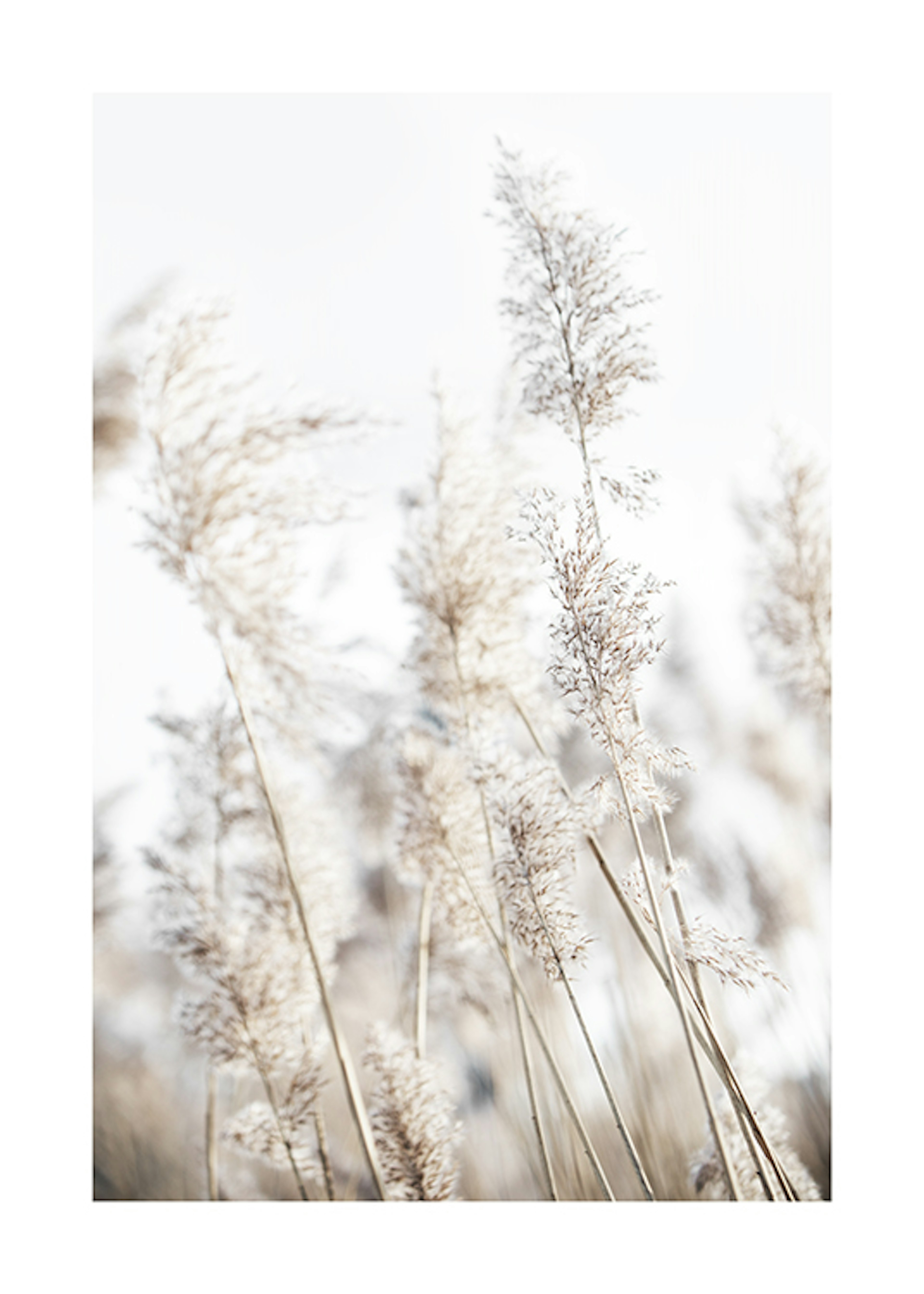 Product image: 4