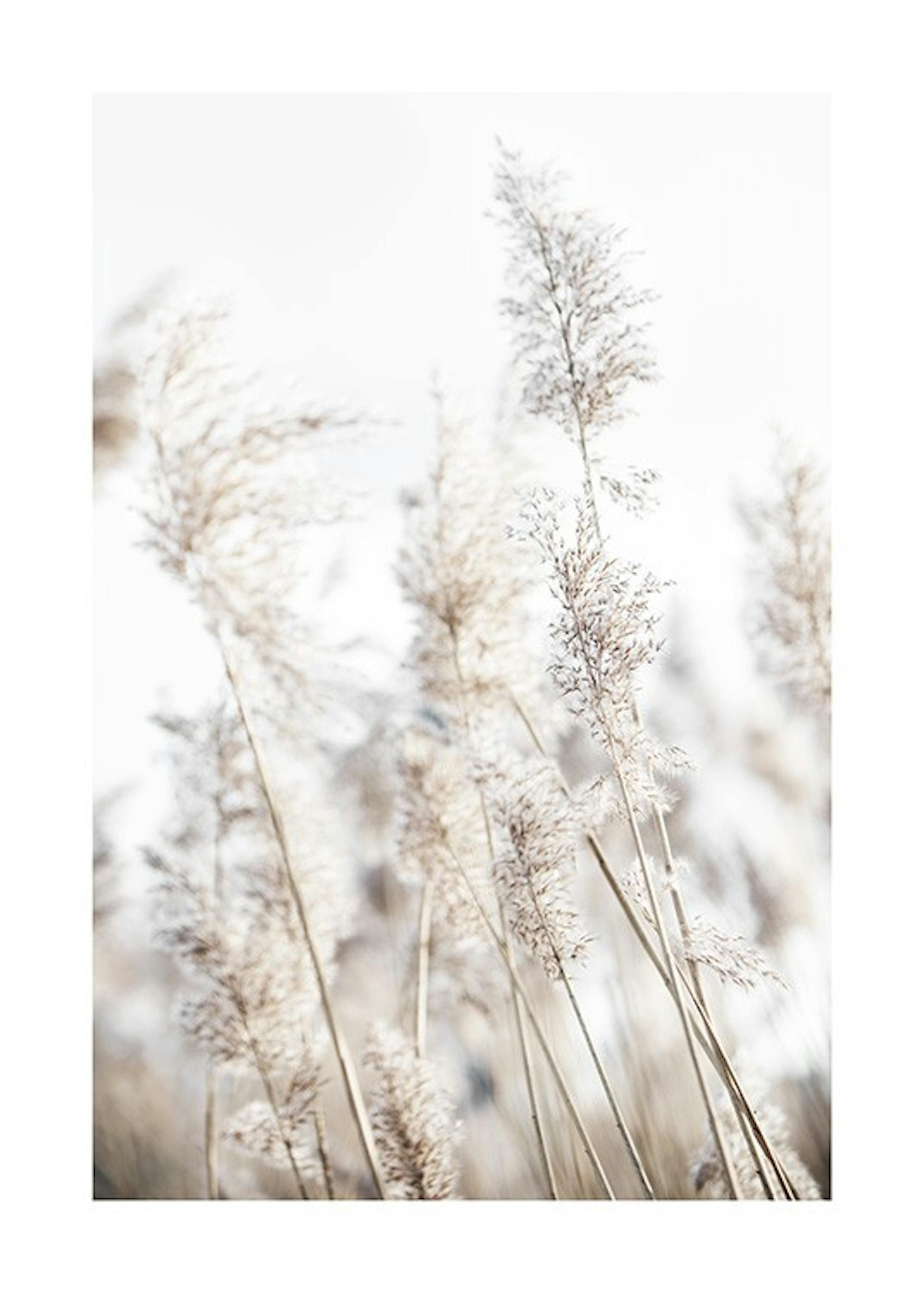 In the Reeds No2 Print
