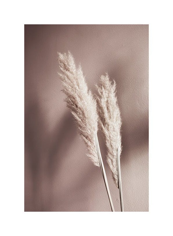Beige Reeds No2 Plakat (30x40 cm) - Plakater > Kunstplakater > Fotokunst
