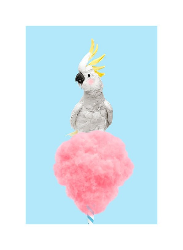 Cotton Candy Cockatoo Affiche (30x40 cm)