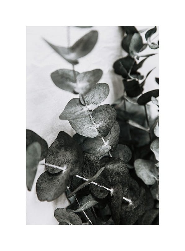 Eucalyptus Bouquet No1 Poster (30x40 cm)