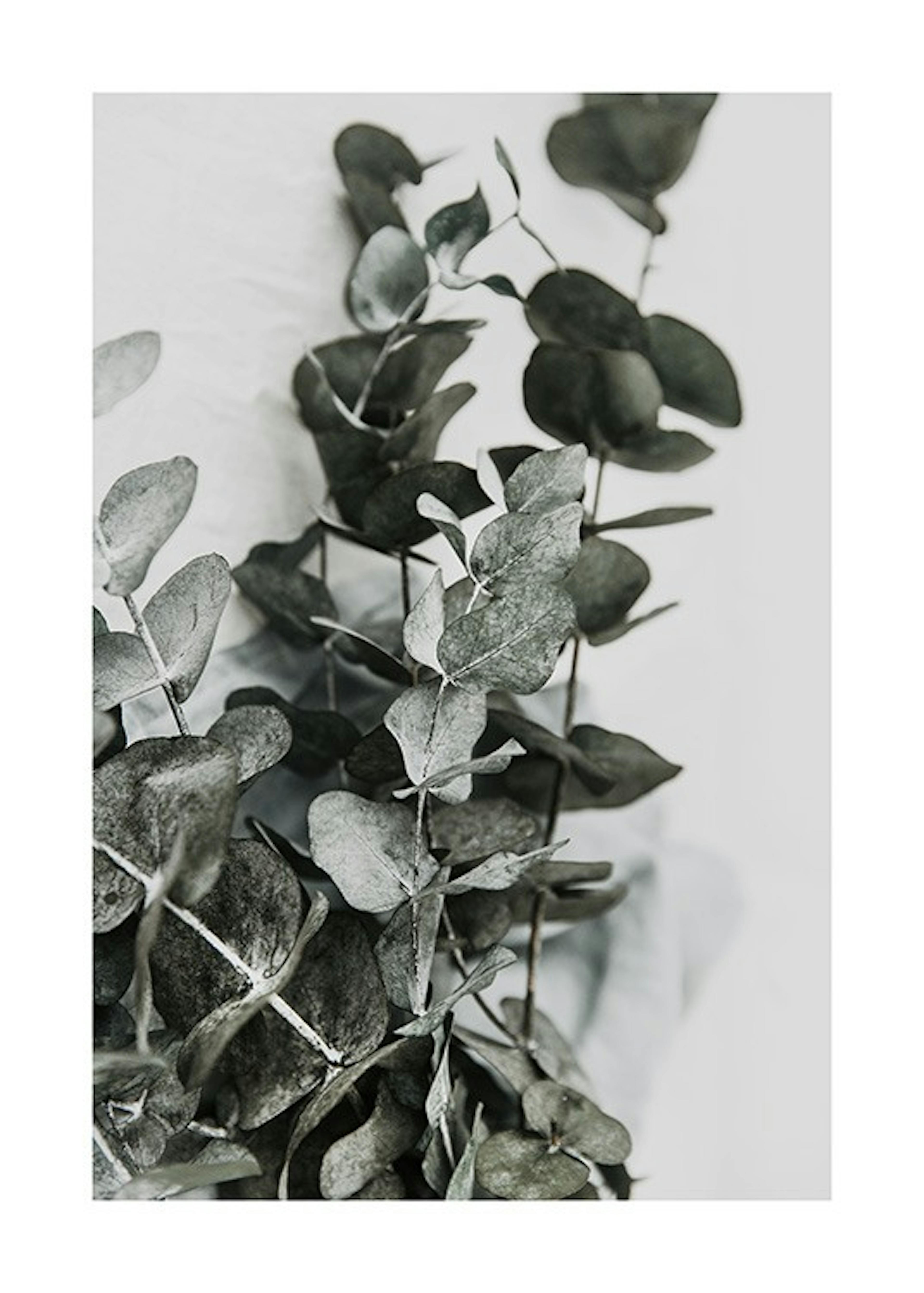 Product image: 1