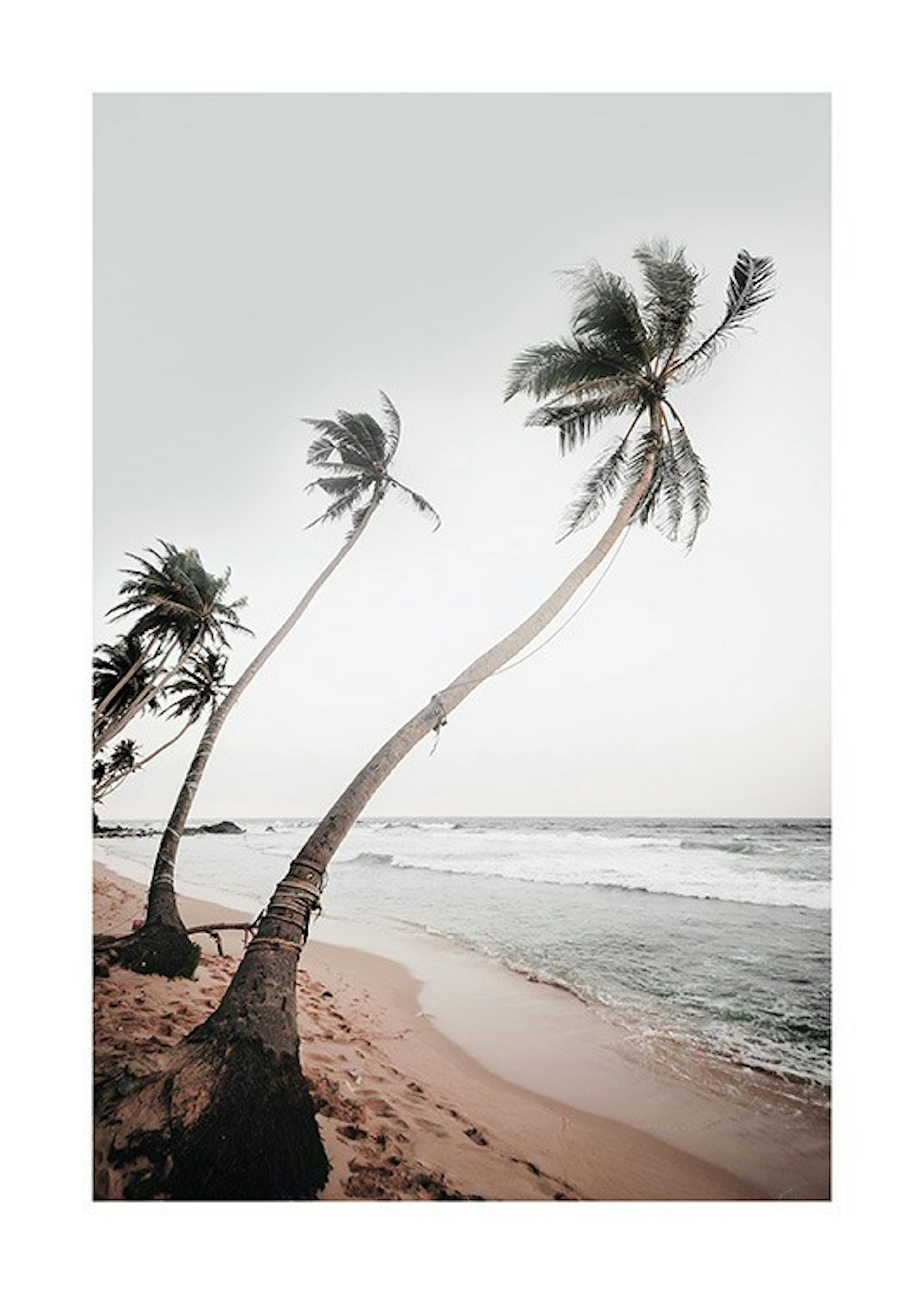 Sri Lanka Palms Plagát 0