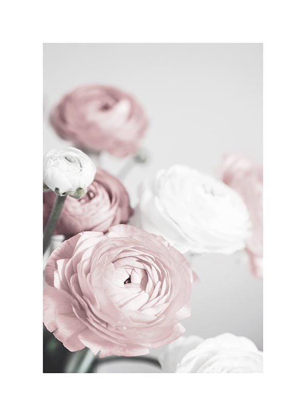 Lovely Roses Poster (30x40 cm)- Poster con fotografie