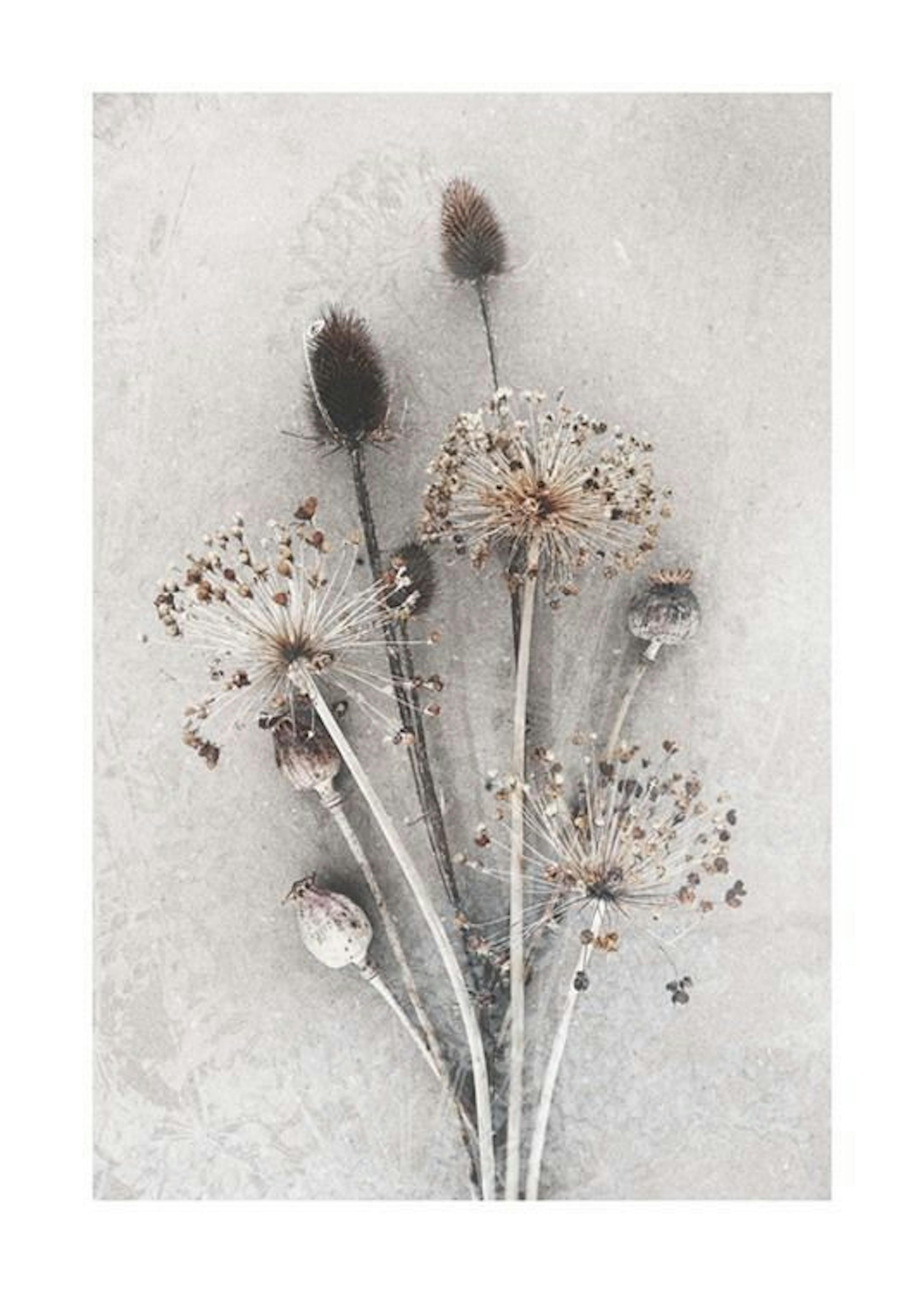 Dried Bunch of Flowers Poster