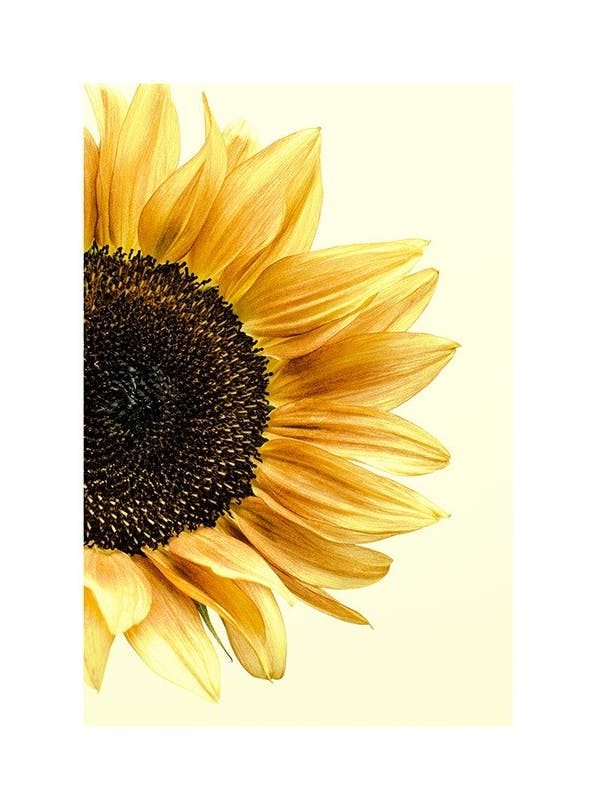 Prints - Sunflower Print (13x18 cm) - Floral prints