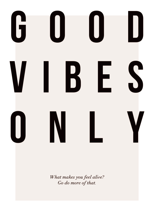 Vibes Only Poster
