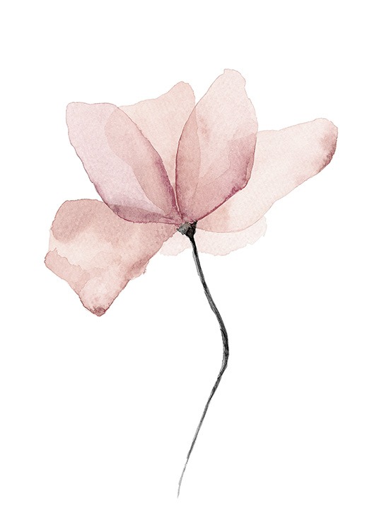 Aquarelle Flower Poster - Pink illustration 