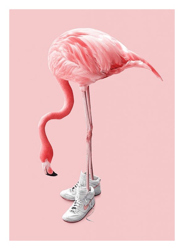 Jonas Loose - Sneaker Flamingo (21x30 cm)