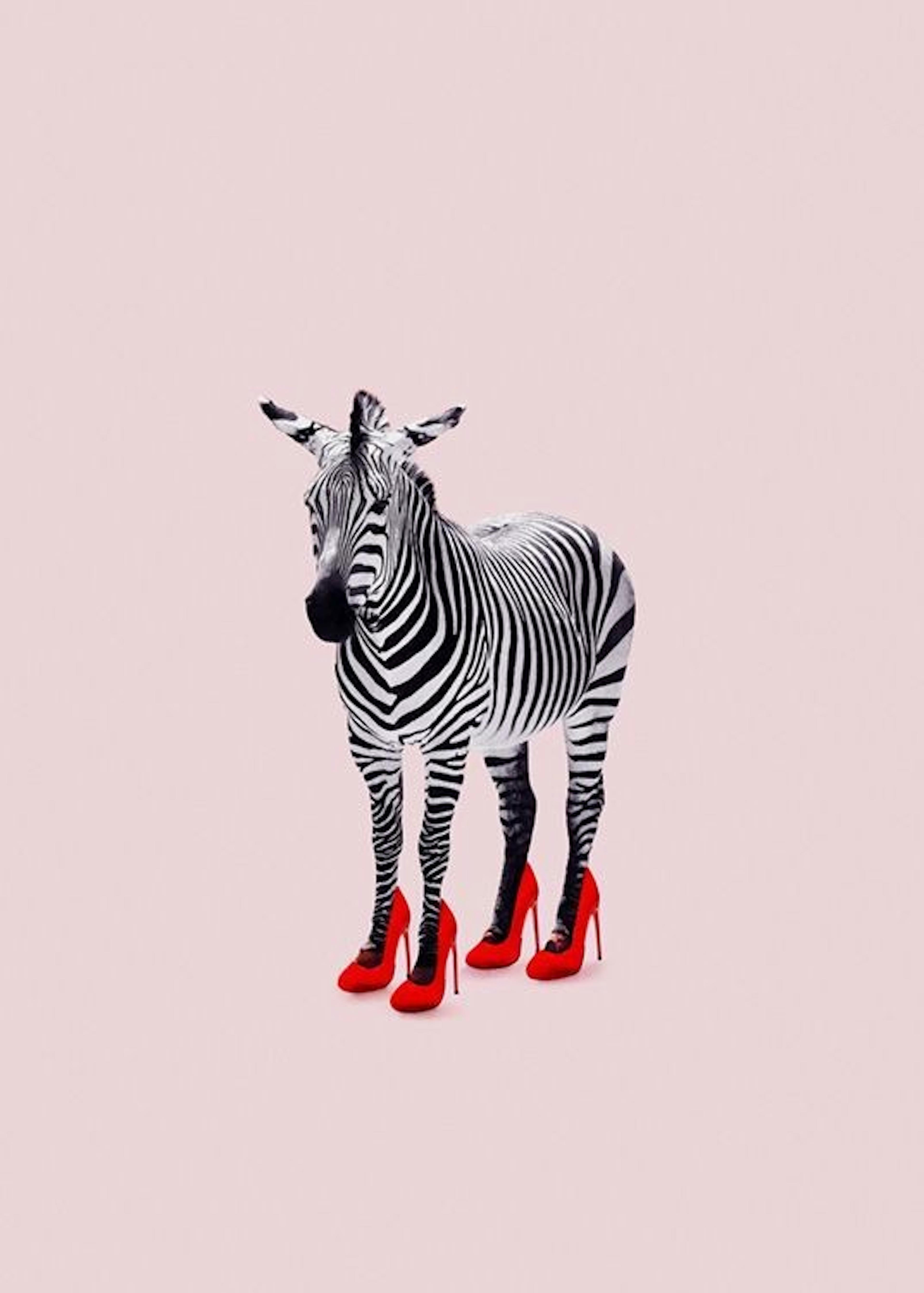 Jonas Loose - Zebra Heels Poster 0