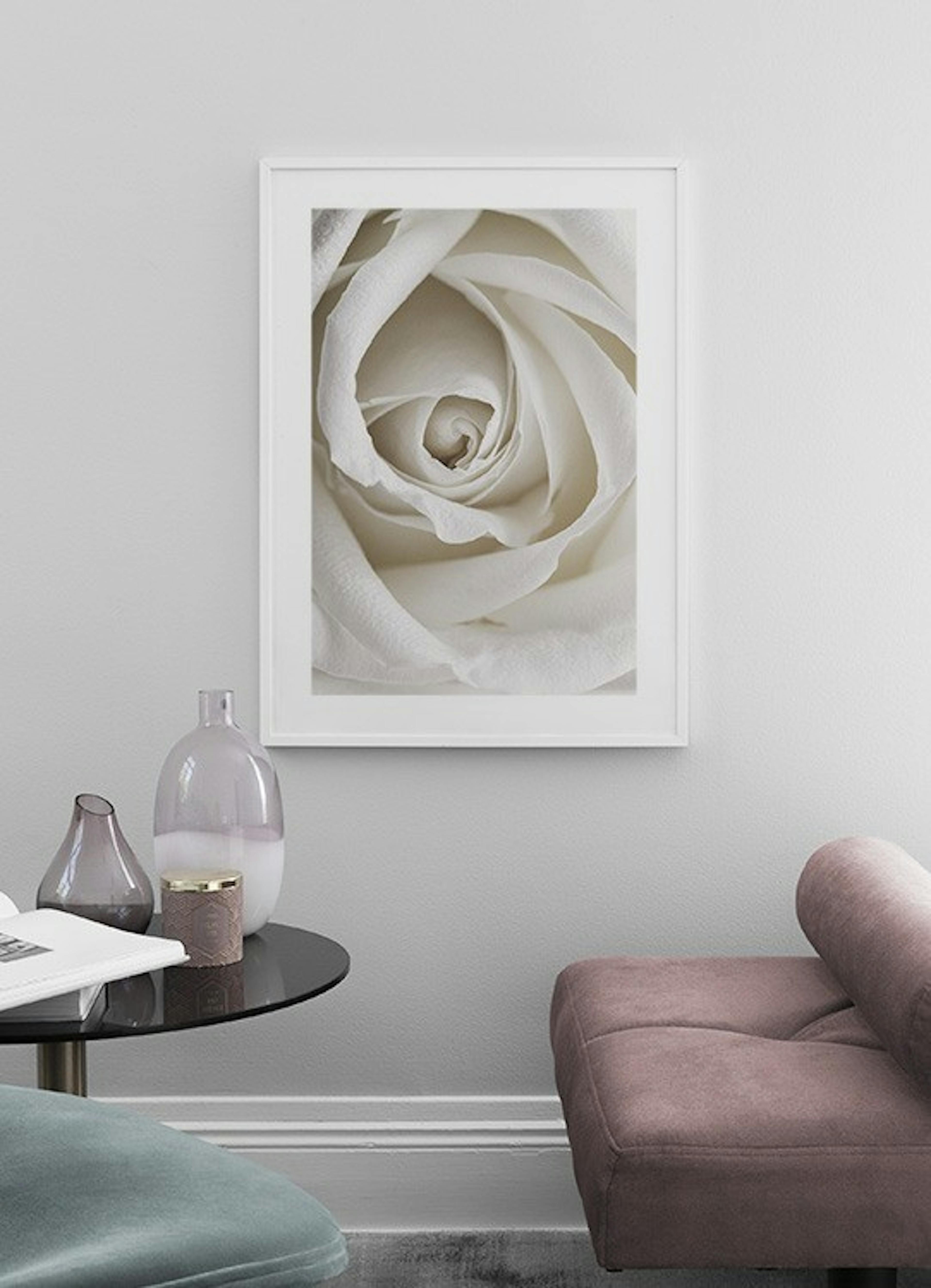 Pale Rose Affiche