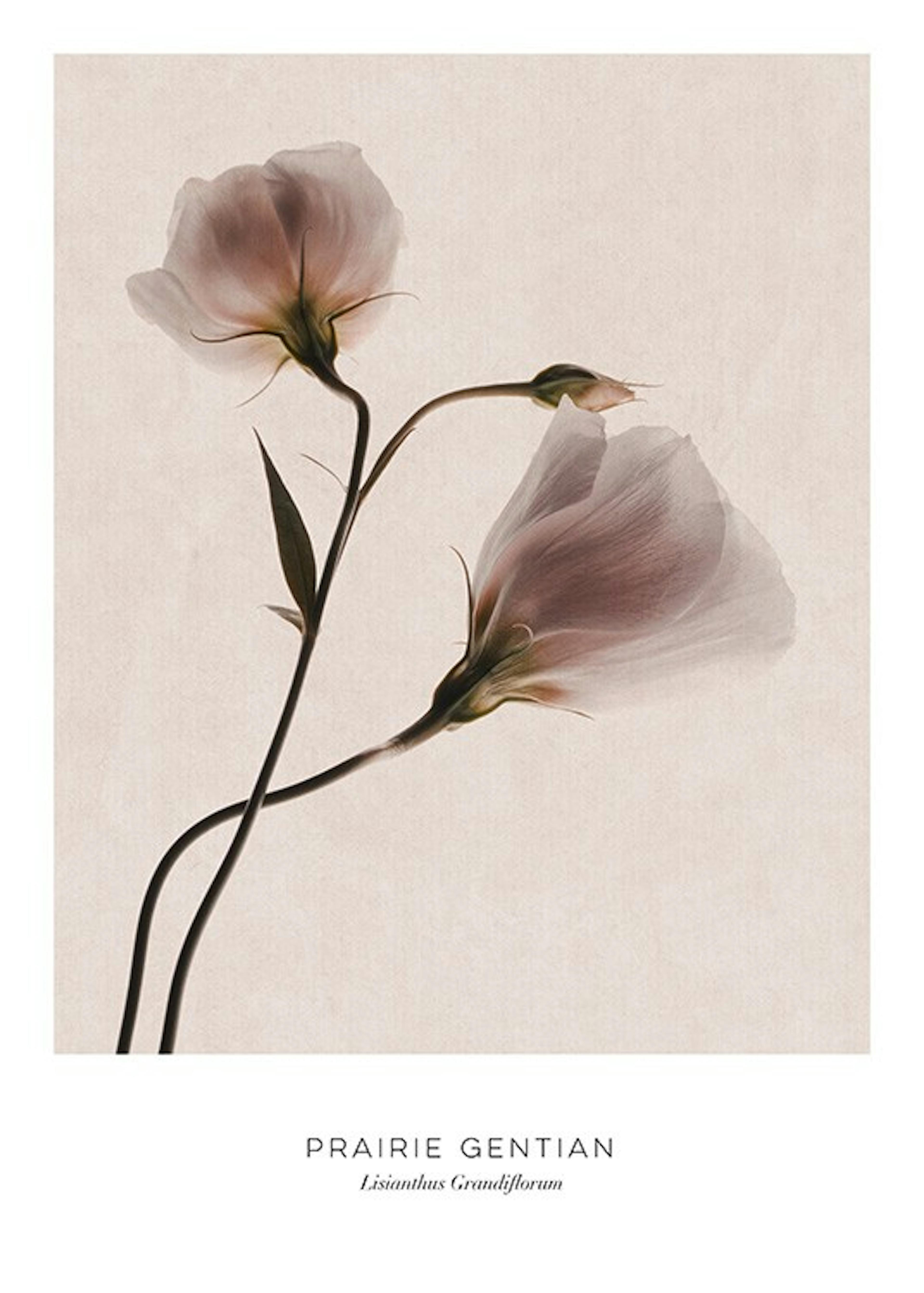 Product image: 1