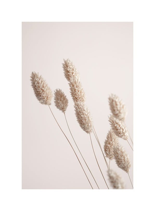 Dried Grass Poster (50x70 cm) - Fotokunst