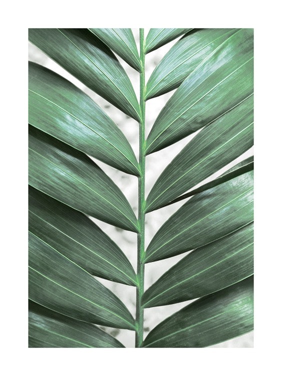 Detailed Jungle Leaf Poster 0