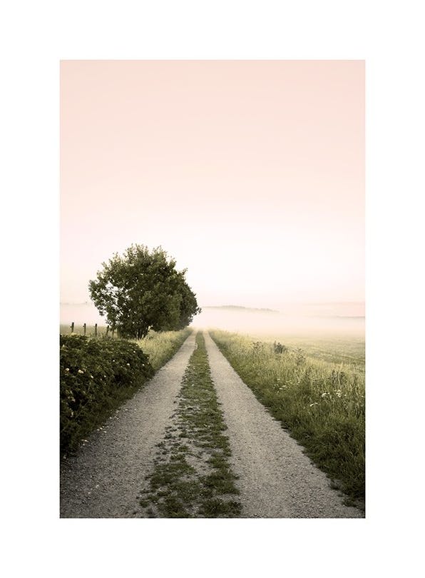 Foggy Morning Plakat (50x70 cm)- Zdjęcia natury