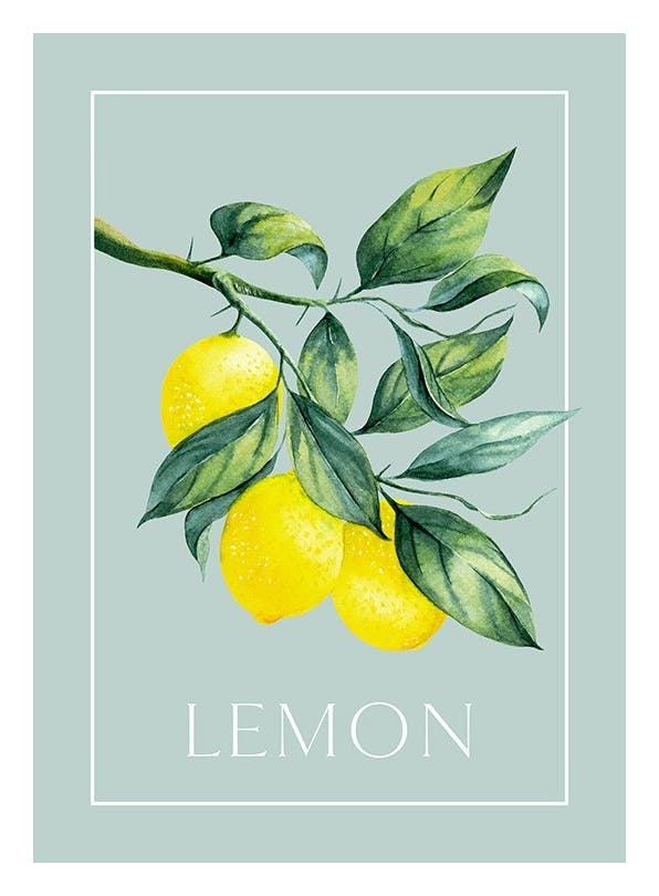 Vintage Lemons Plakat (50x70 cm)- Plakaty do kuchni
