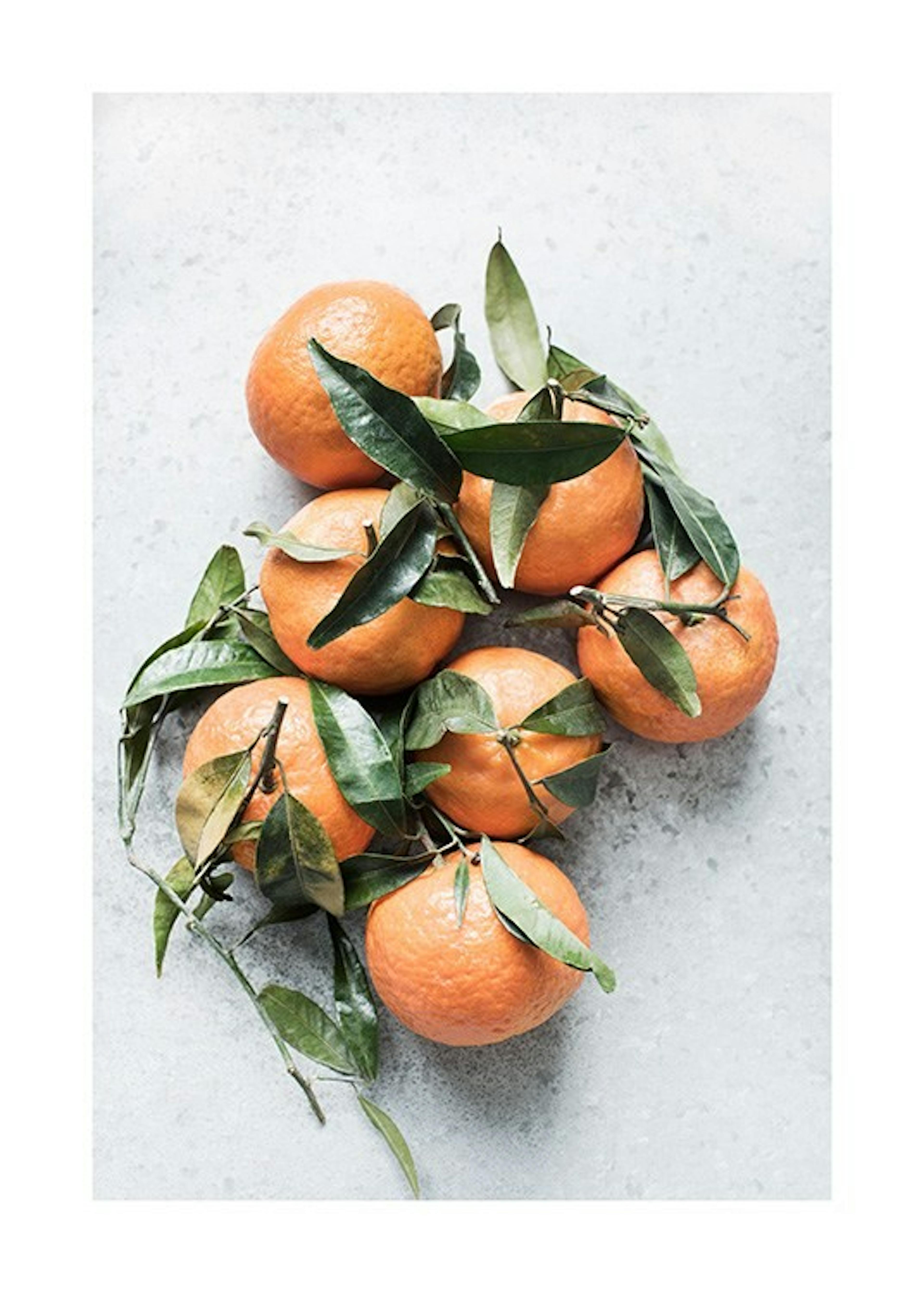Tangerines Juliste 0