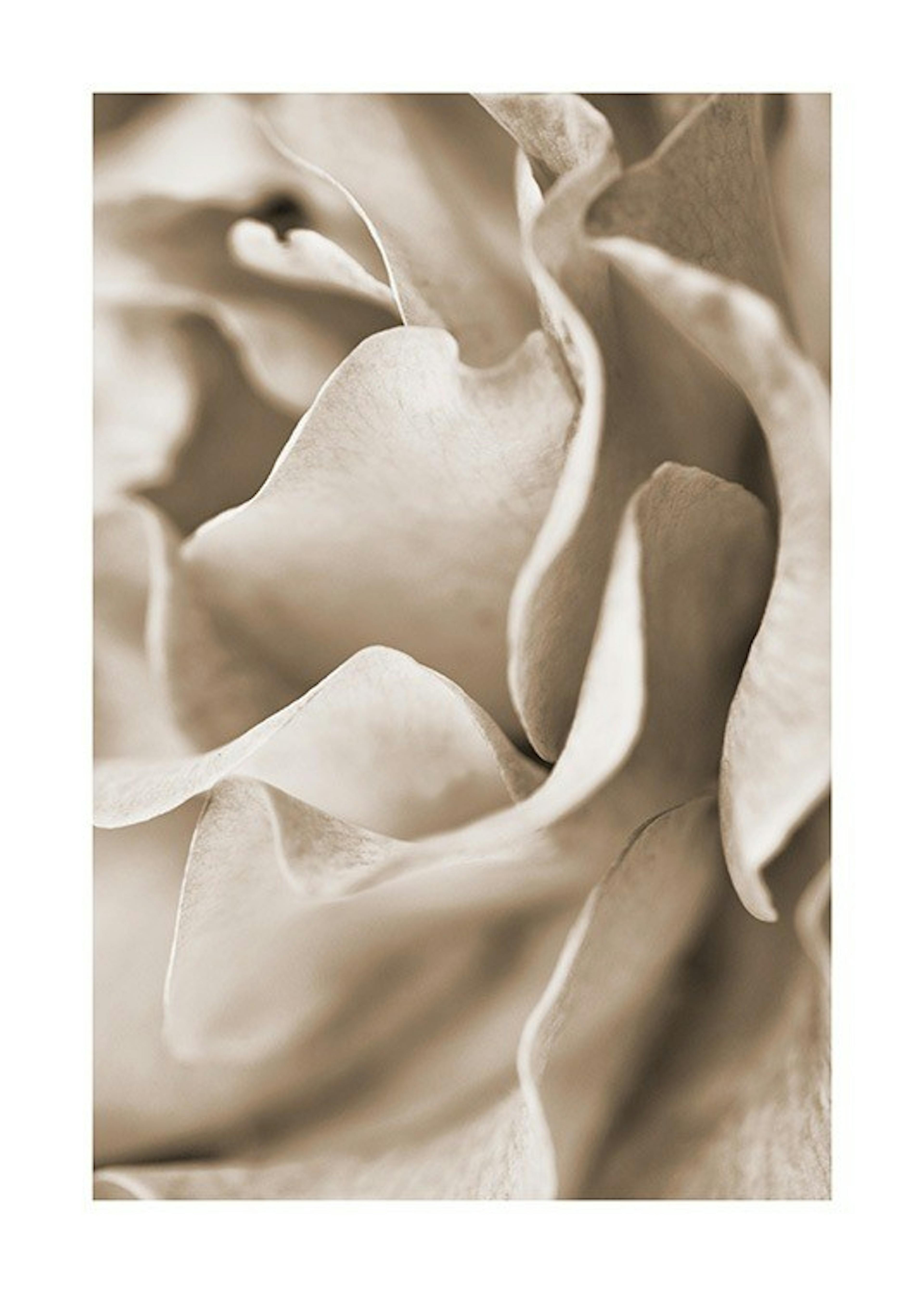Muted Rose Print 0