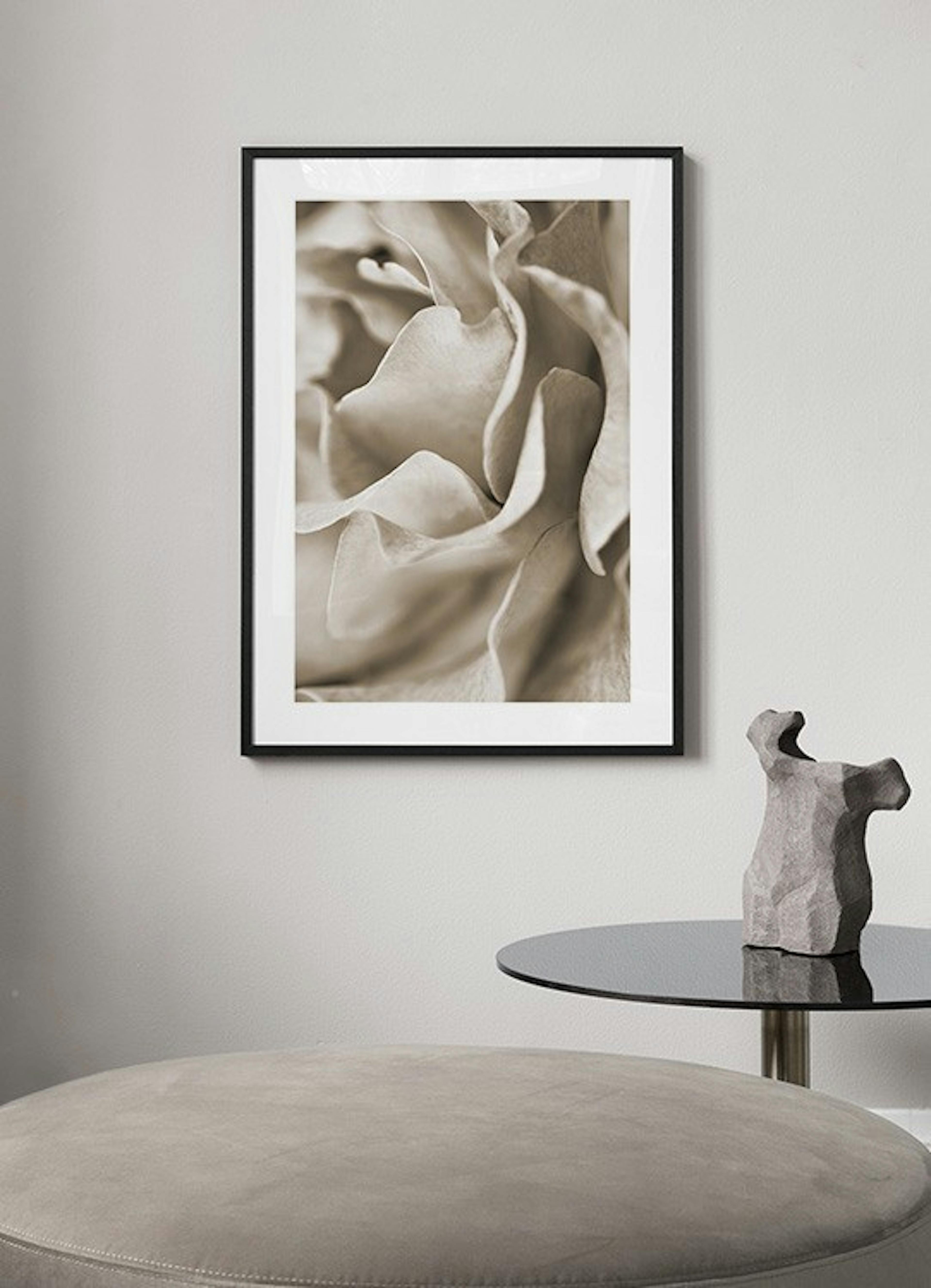 Muted Rose Poster