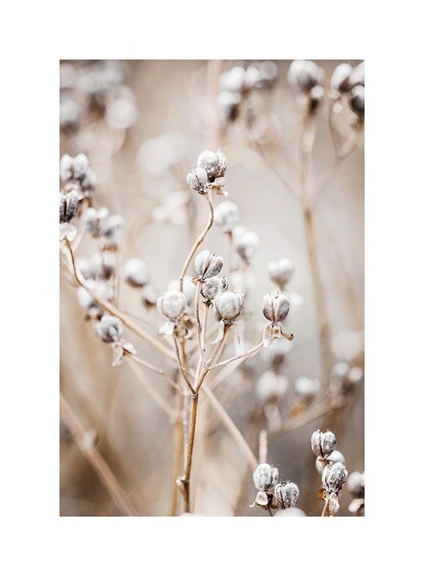 Autumn Nature Plakat (70x100 cm)- Fotografia
