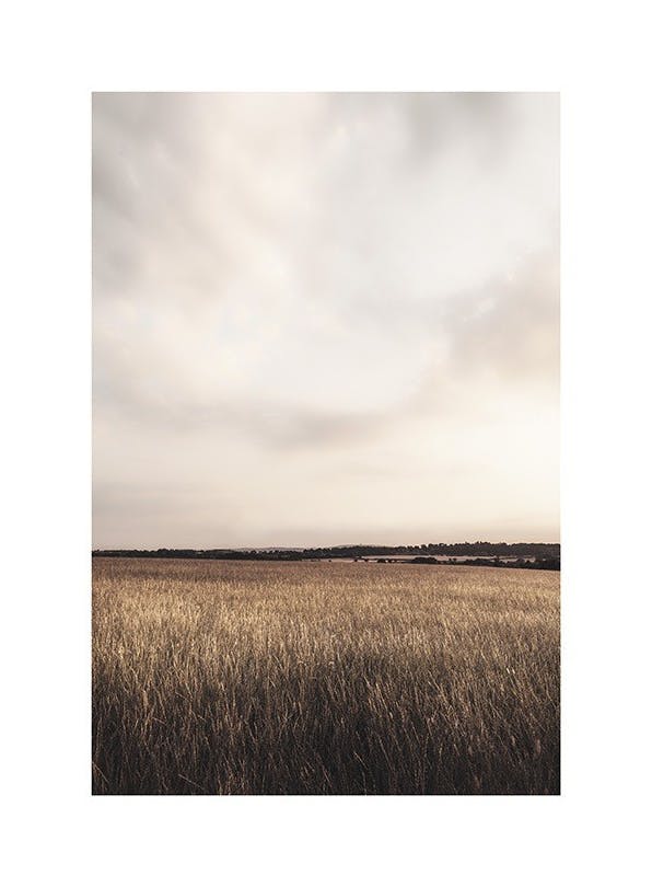 Calm Field Poster (50x70 cm)
