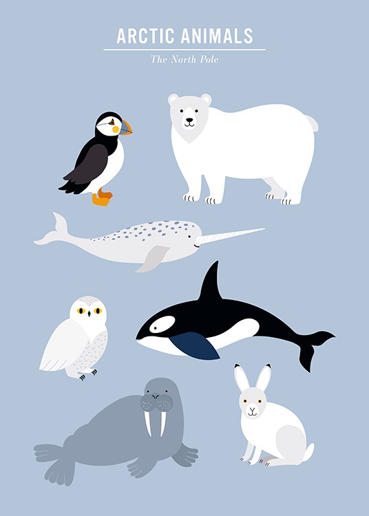 Arctic Animals Poster - Animals in the north 