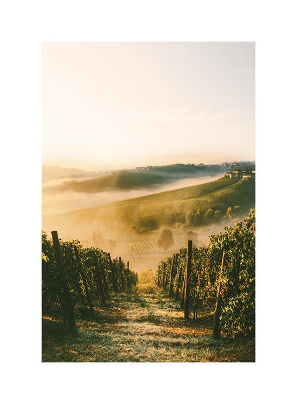 Prints - Langhe Vineyard Print (50x70 cm) - Landscape prints