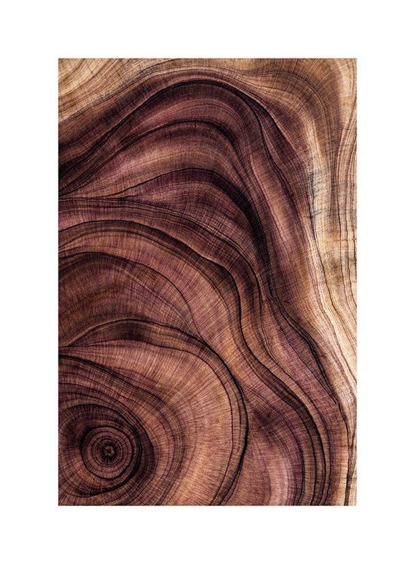 Wood Pattern Poster (50x70 cm)- Quadri e poster di natura