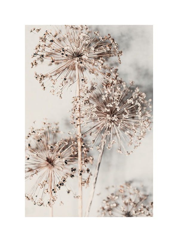 Autumn Allium (50x70) (50x70 cm)