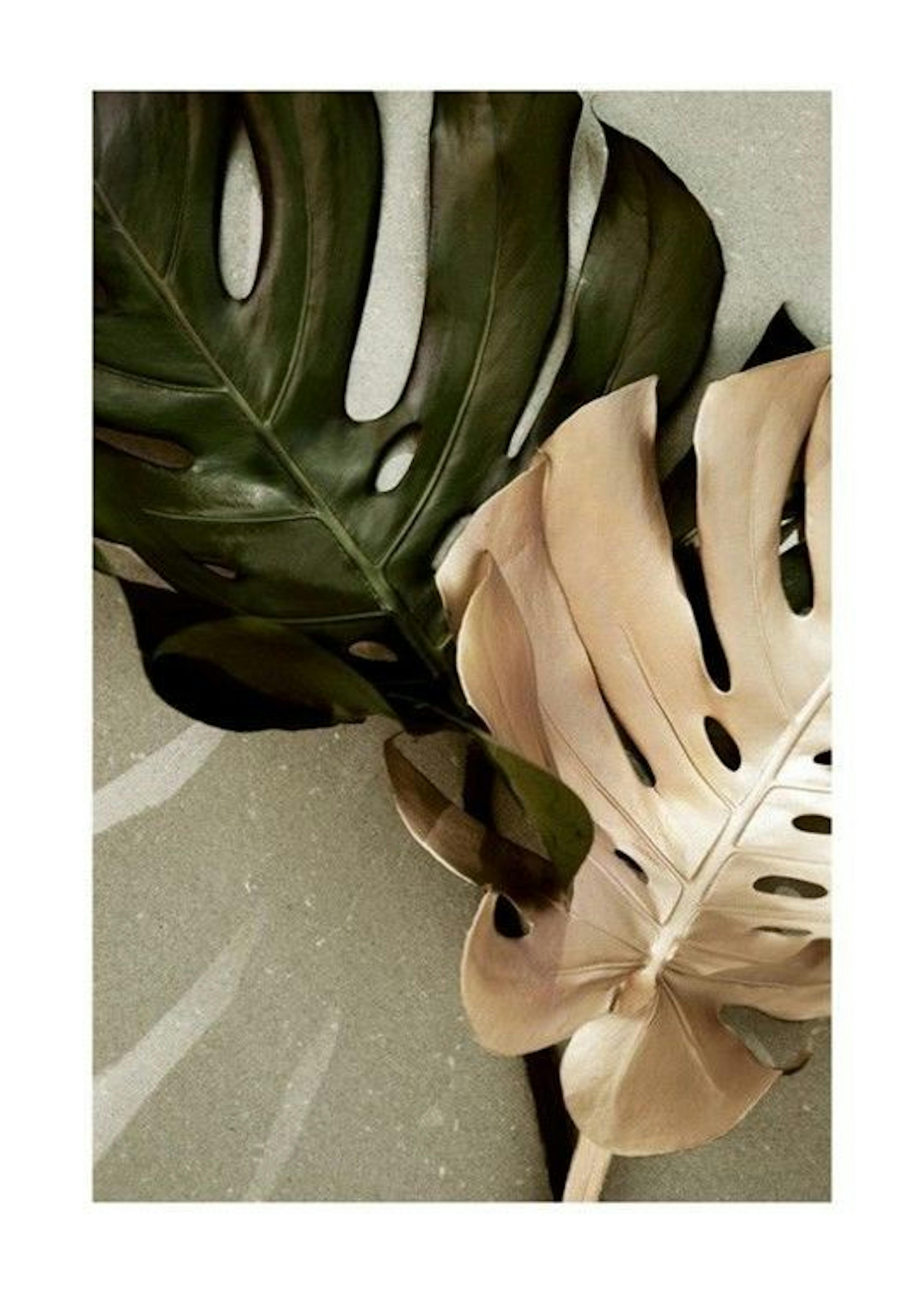 Golden Monstera Plakat 0